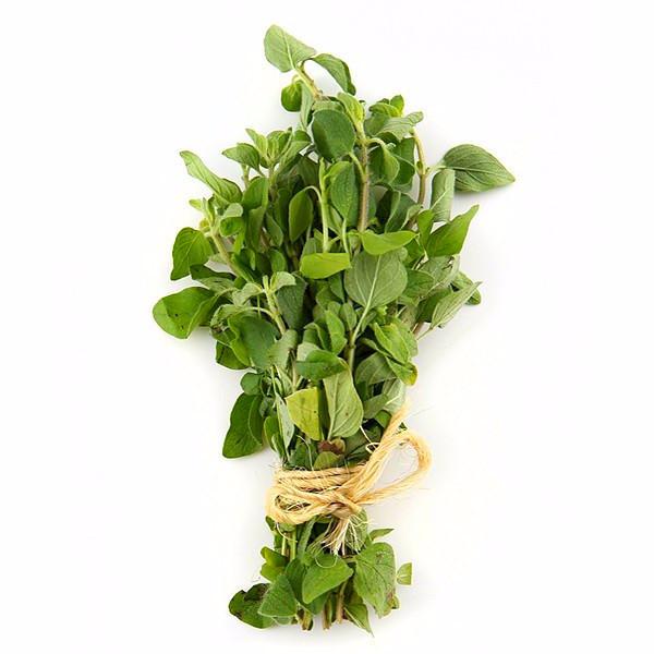 Oregano (Pack)