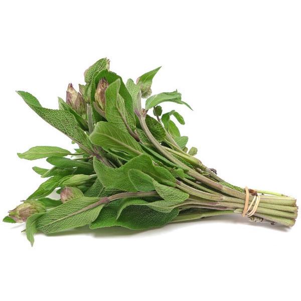 Sage (Pack)