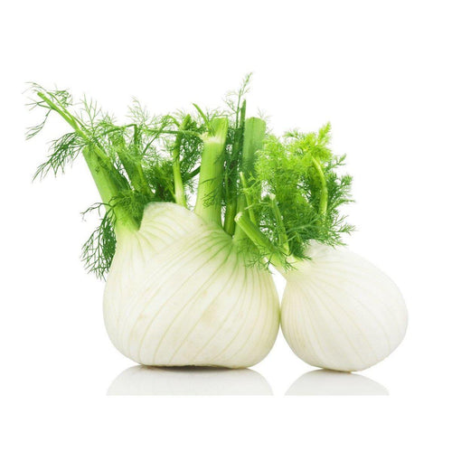 Fennel (Each)