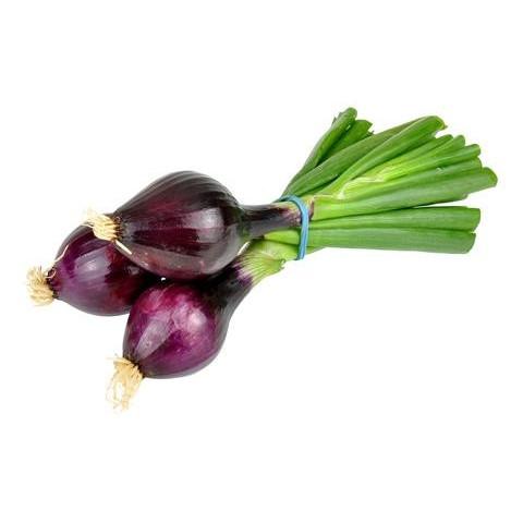 Onion Salad Red (Bunch)