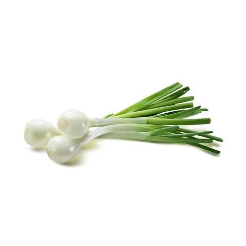 Onion Salad White (Bunch)