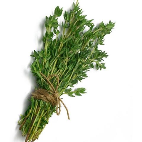 Thyme (Pack)