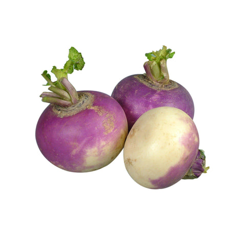 Parsley -  Flat (Bunch of 5)