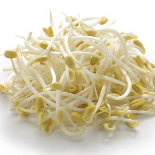 Bean Sprouts (375g) Bag