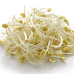 Bean Sprouts (375g) Bag