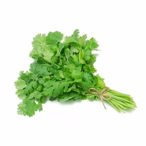 Coriander (Bunch)
