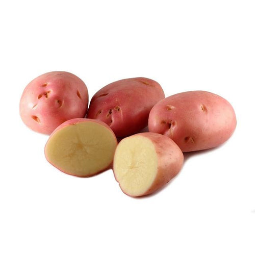 Potato Red Loose