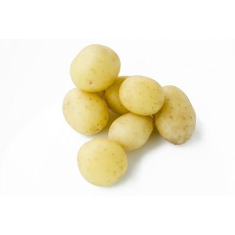 Small White Potato