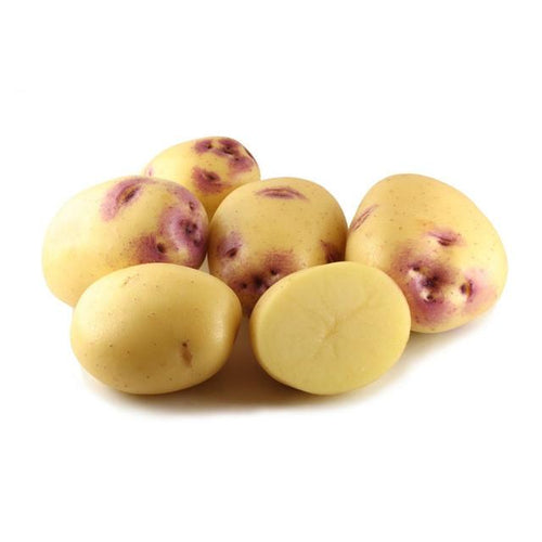 Potato Kestrel Loose