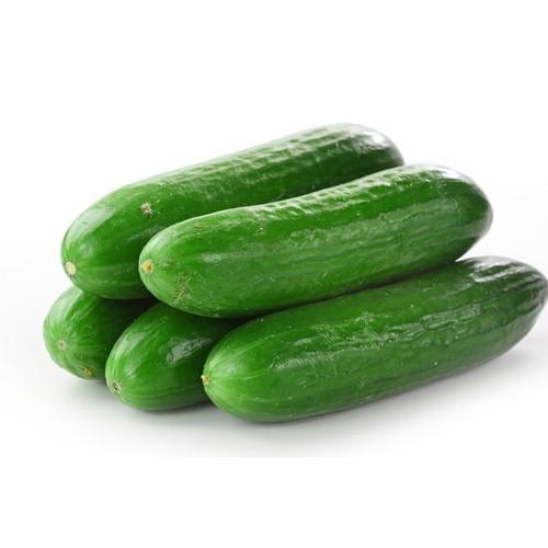 Cucumber Lebanese