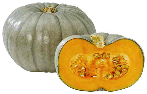 Qld Blue Pumpkin