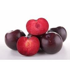 Red Plum