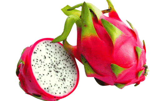 Dragon Fruit (Each)